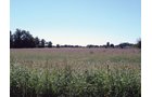 Property photo 3 - 57 Acres Offered in 3 Tracts