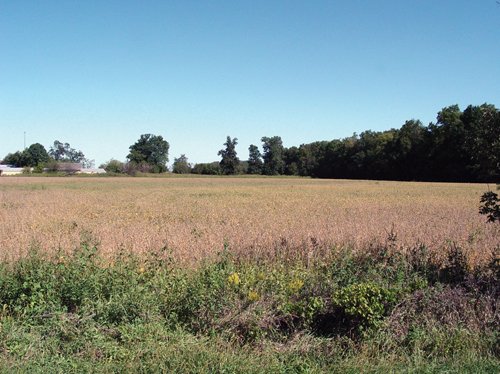 Property photo 14 - 57 Acres Offered in 3 Tracts