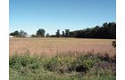 Property photo 14 - 57 Acres Offered in 3 Tracts