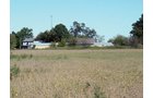 Property photo 1 - 57 Acres Offered in 3 Tracts