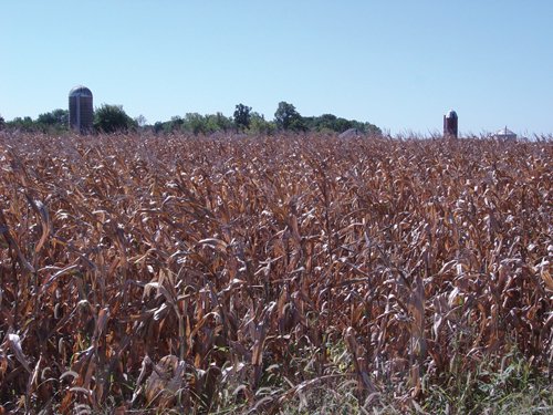 Property photo 6 - 57 Acres Offered in 3 Tracts