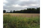 Property photo 12 - 57 Acres Offered in 3 Tracts