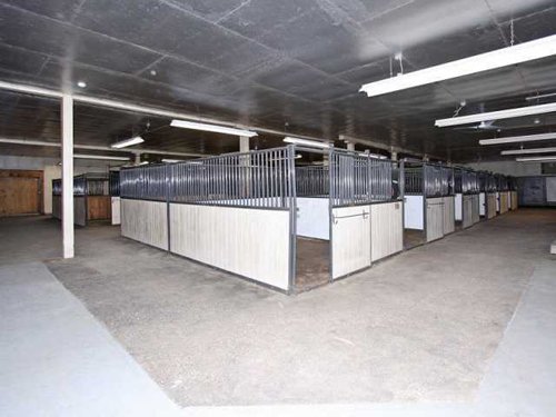Property photo 12 - 80 Acres Offered in 4 Tracts - Horse Farm