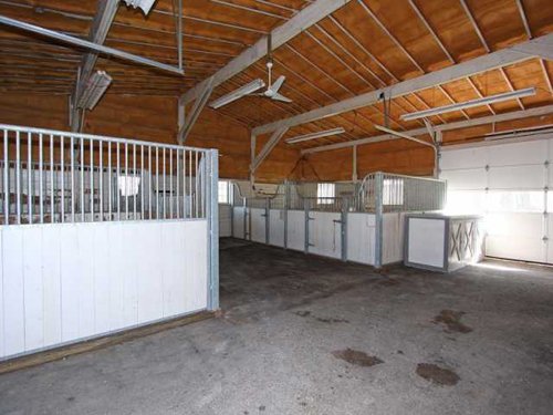 Property photo 79 - 80 Acres Offered in 4 Tracts - Horse Farm