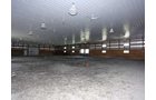 Property photo 87 - 80 Acres Offered in 4 Tracts - Horse Farm
