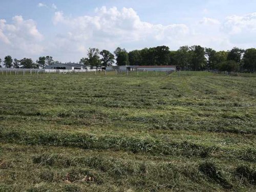 Property photo 48 - 80 Acres Offered in 4 Tracts - Horse Farm