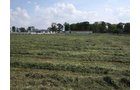 Property photo 48 - 80 Acres Offered in 4 Tracts - Horse Farm