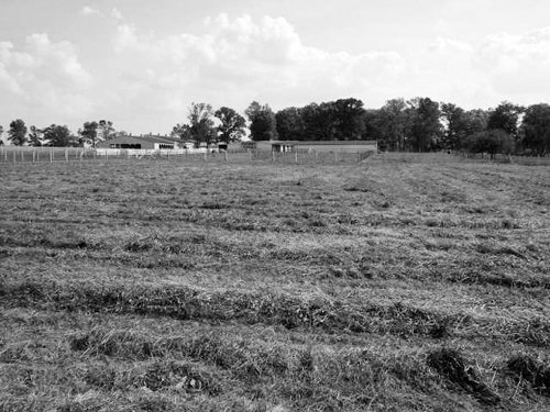Property photo 92 - 80 Acres Offered in 4 Tracts - Horse Farm