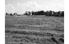 Property photo 92 - 80 Acres Offered in 4 Tracts - Horse Farm