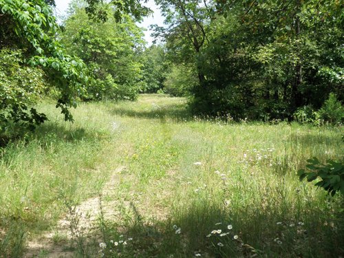Property photo 5 - 67 +/- Acres Offered in 3 Tracts