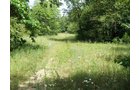 Property photo 5 - 67 +/- Acres Offered in 3 Tracts