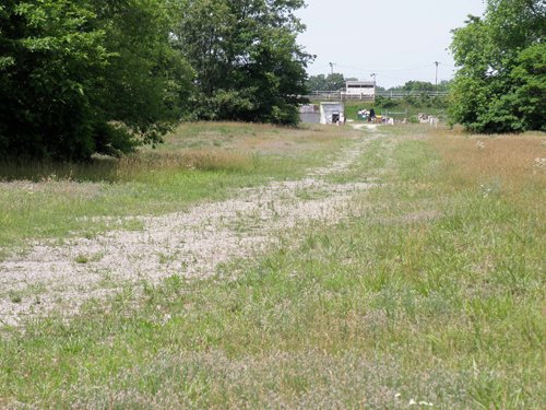 Property photo 9 - 67 +/- Acres Offered in 3 Tracts