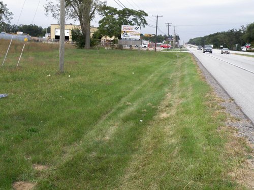 Property photo 6 - 67 +/- Acres Offered in 3 Tracts