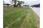Property photo 6 - 67 +/- Acres Offered in 3 Tracts