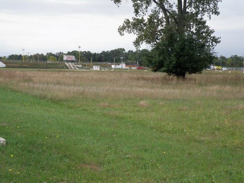Property photo 4 - 67 +/- Acres Offered in 3 Tracts