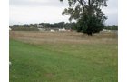 Property photo 4 - 67 +/- Acres Offered in 3 Tracts