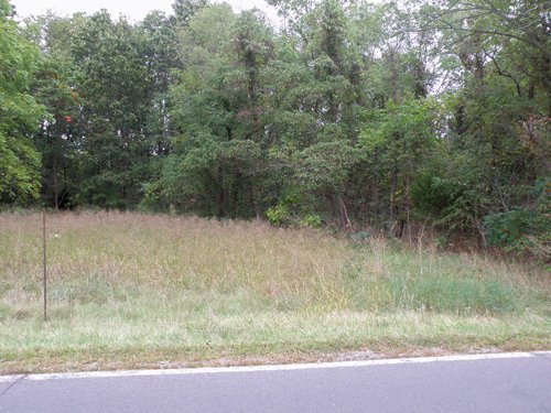 Property photo 13 - 67 +/- Acres Offered in 3 Tracts