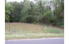Property photo 13 - 67 +/- Acres Offered in 3 Tracts