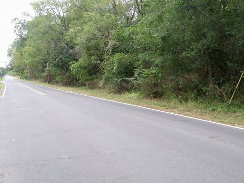 Property photo 11 - 67 +/- Acres Offered in 3 Tracts