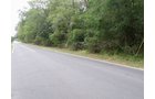 Property photo 11 - 67 +/- Acres Offered in 3 Tracts