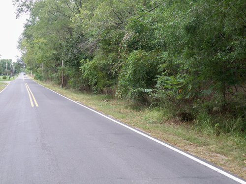 Property photo 14 - 67 +/- Acres Offered in 3 Tracts