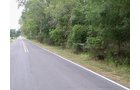 Property photo 14 - 67 +/- Acres Offered in 3 Tracts