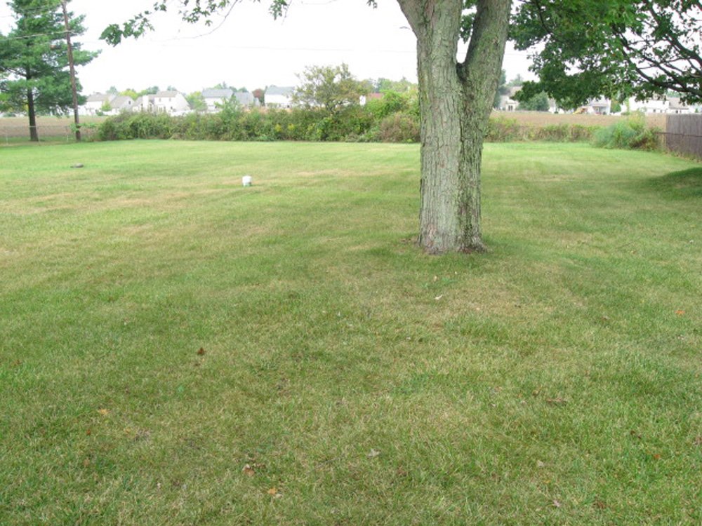 Property photo 7 - Real Estate Auction - 3 Bedroom Home in St. Joe Township, Many Updates, Motivated Seller!