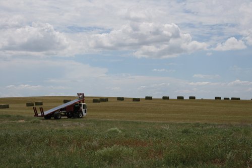 Property photo 310 - Renick Family Farms Kansas Equipment Auction