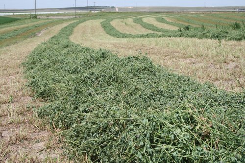 Property photo 197 - Renick Family Farms Kansas Equipment Auction