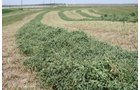 Property photo 197 - Renick Family Farms Kansas Equipment Auction