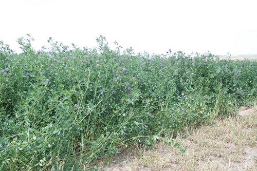 Property photo 116 - Renick Family Farms Kansas Equipment Auction