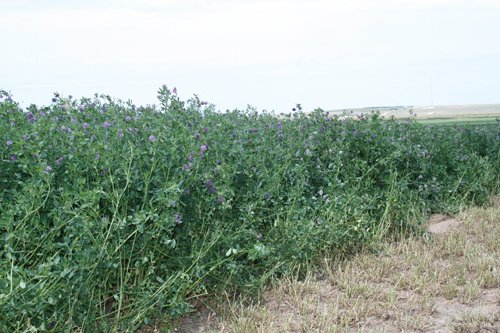 Property photo 58 - Renick Family Farms Kansas Equipment Auction