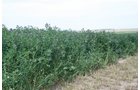 Property photo 58 - Renick Family Farms Kansas Equipment Auction