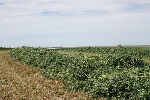 Property photo 260 - Renick Family Farms Kansas Equipment Auction