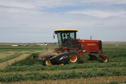 Property photo 270 - Renick Family Farms Kansas Equipment Auction