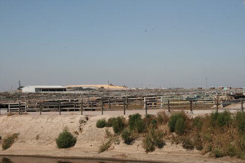 Property photo 258 - Renick Family Farms Kansas Equipment Auction