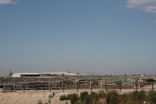 Property photo 13 - Renick Family Farms Kansas Equipment Auction