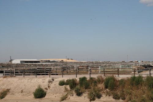 Property photo 79 - Renick Family Farms Kansas Equipment Auction