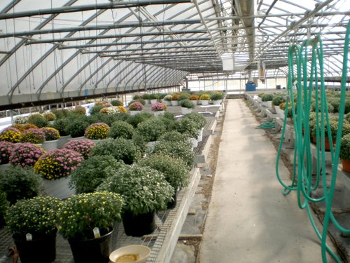 Property photo 2 - Absolute Auction - Residence & Greenhouse Business on 5+/- Acres