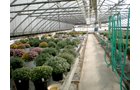 Property photo 2 - Absolute Auction - Residence & Greenhouse Business on 5+/- Acres