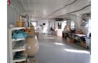 Property photo 6 - Absolute Auction - Residence & Greenhouse Business on 5+/- Acres