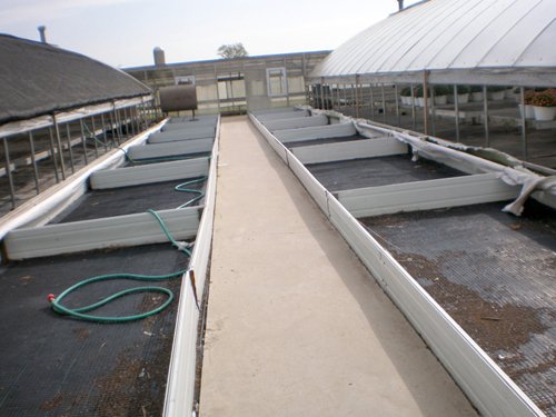 Property photo 5 - Absolute Auction - Residence & Greenhouse Business on 5+/- Acres