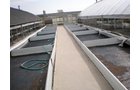 Property photo 5 - Absolute Auction - Residence & Greenhouse Business on 5+/- Acres
