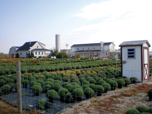 Absolute Auction - Residence & Greenhouse Business on 5+/- Acres