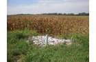 Property photo 3 - 224 +/- Acres Offered in 4 Tracts