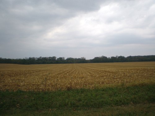 Property photo 1 - 224 +/- Acres Offered in 4 Tracts