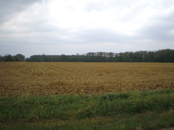 224 +/- Acres Offered in 4 Tracts