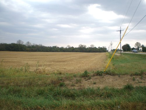 Property photo 2 - 224 +/- Acres Offered in 4 Tracts