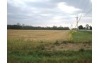 Property photo 2 - 224 +/- Acres Offered in 4 Tracts