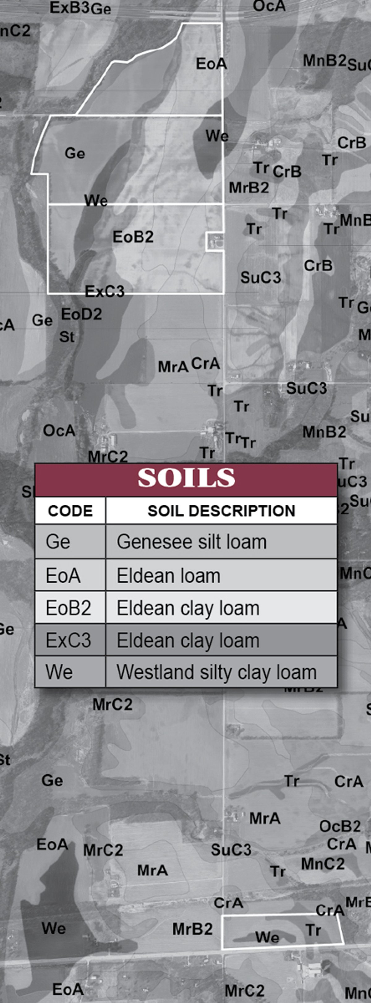 Soil map - 224 +/- Acres Offered in 4 Tracts